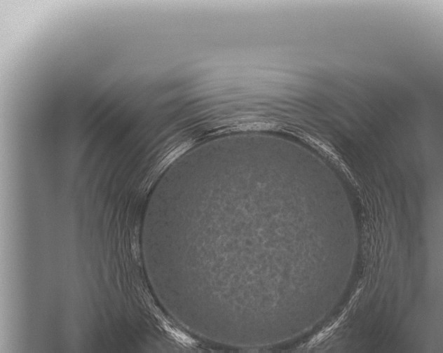 X0000059810889200510281702