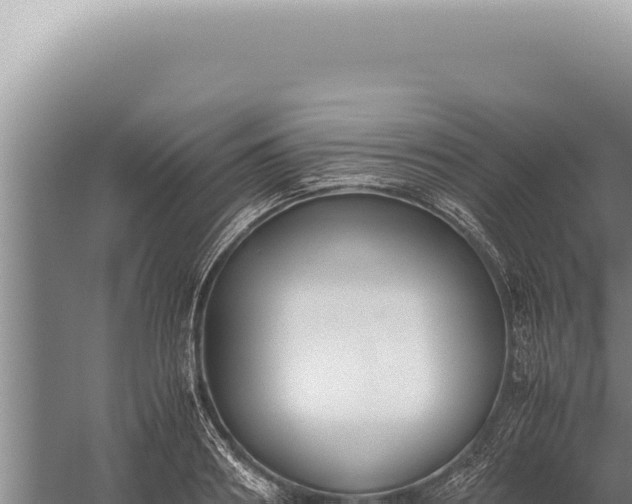 X0000059810890200510281702