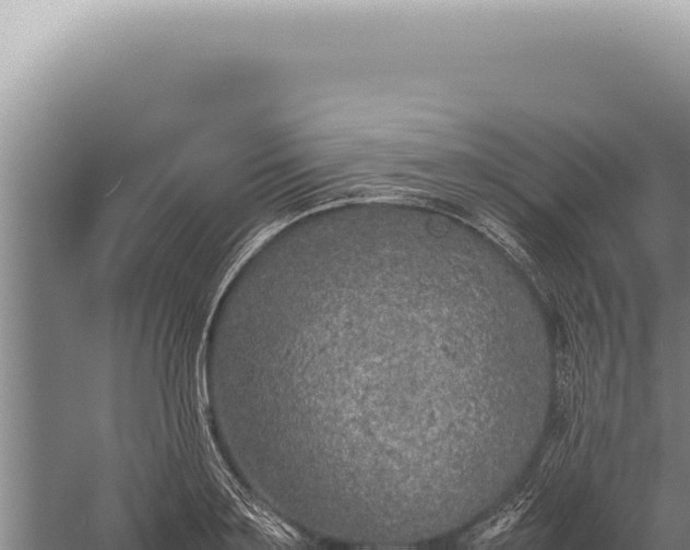 X0000059810891200510281702