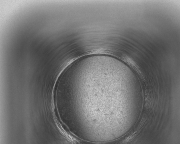 X0000059810892200510281702