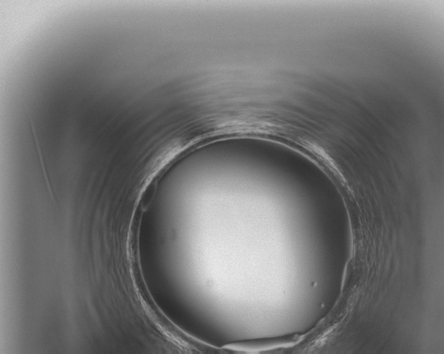 X0000059810893200510281702