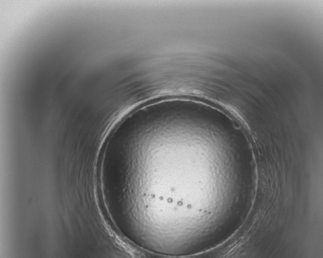 X0000059810895200510281702