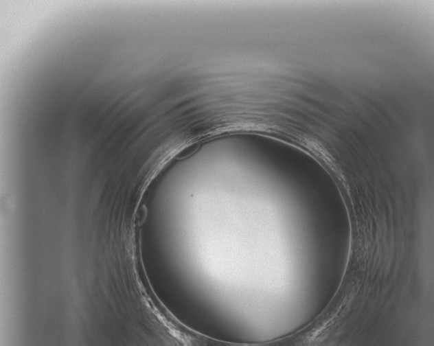 X0000059810898200510281702