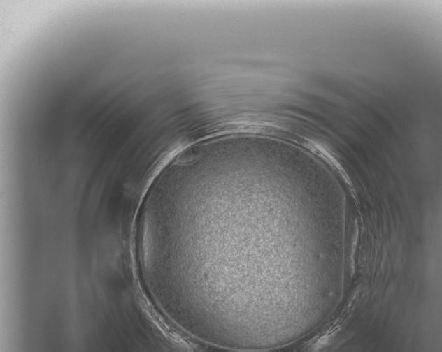 X0000059810899200510281702