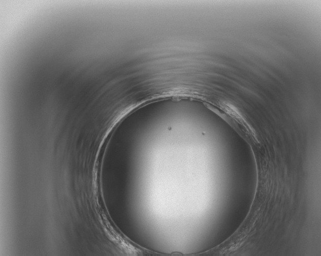 X0000059810900200510281702