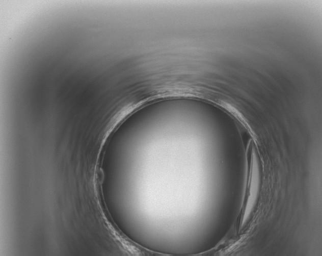 X0000059810901200510281702