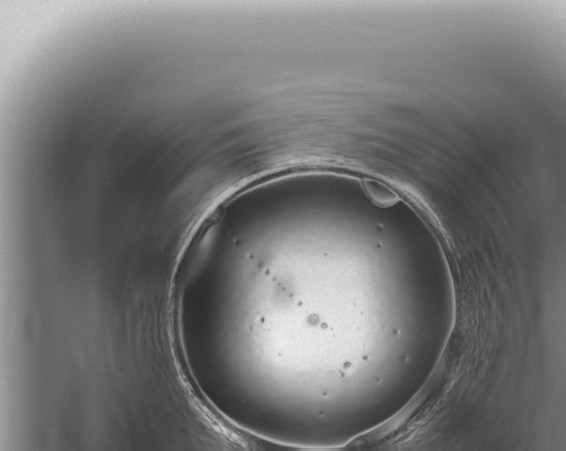 X0000059810903200510281702