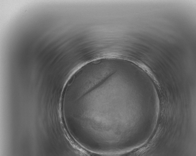 X0000059810904200510281702