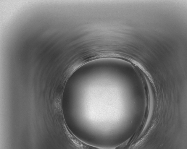 X0000059810905200510281702