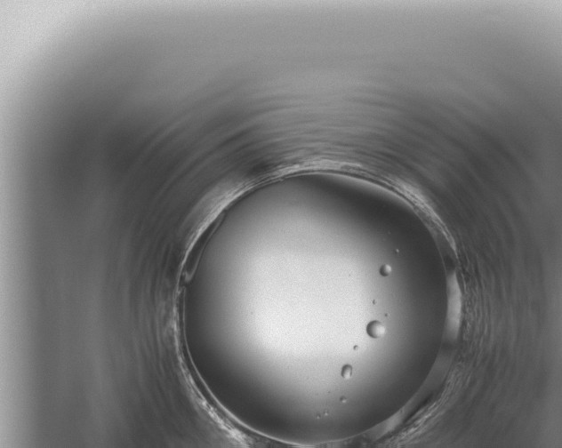 X0000059810906200510281702