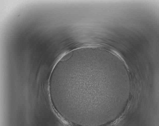 X0000059810907200510281702