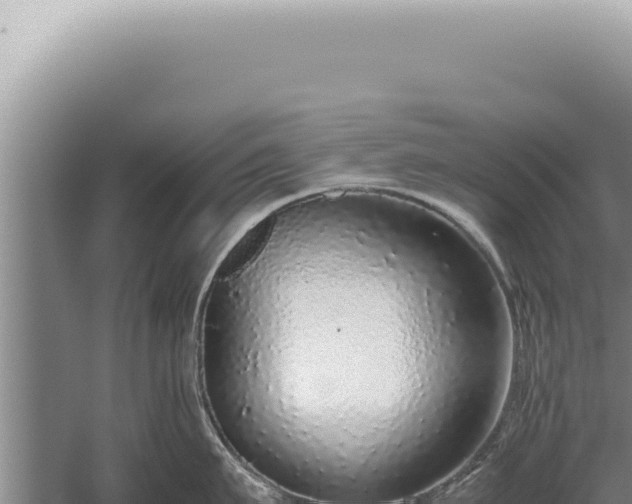 X0000059810911200510281702