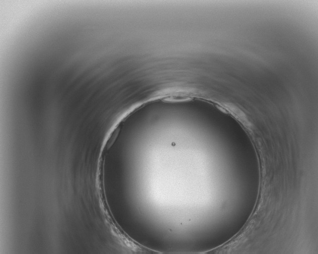 X0000059810912200510281702