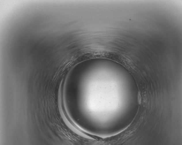 X0000059810916200510281701