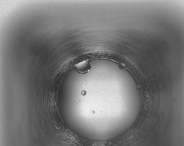 X0000059810918200510281701