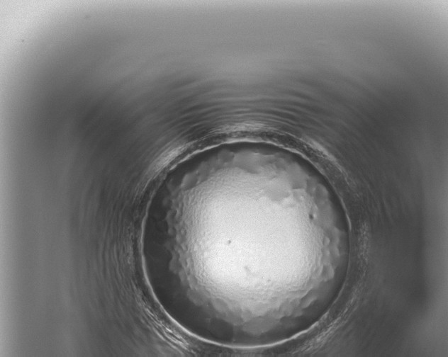 X0000059810921200510281701