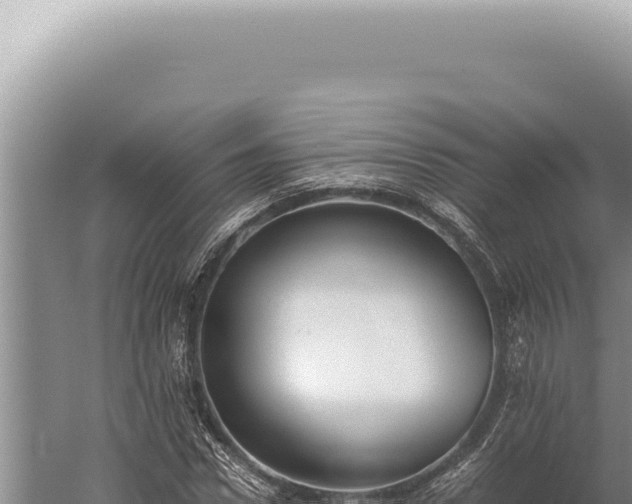 X0000059810922200510281701