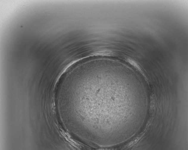 X0000059810923200510281701