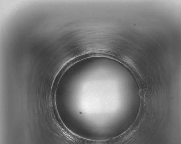 X0000059810924200510281701