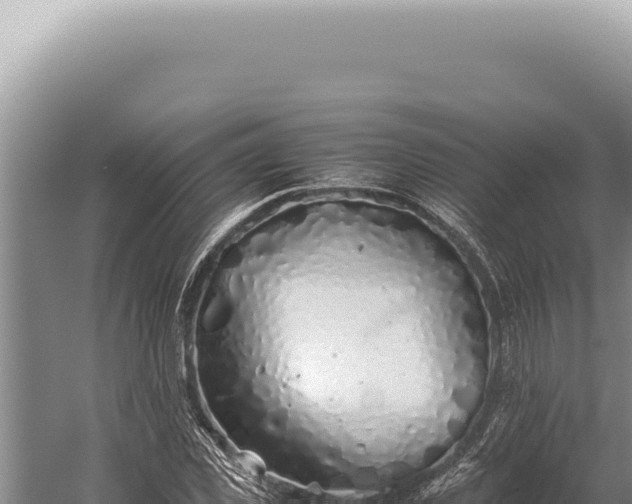 X0000059810925200510281701