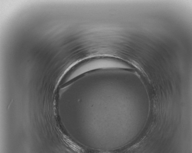 X0000059810926200510281701