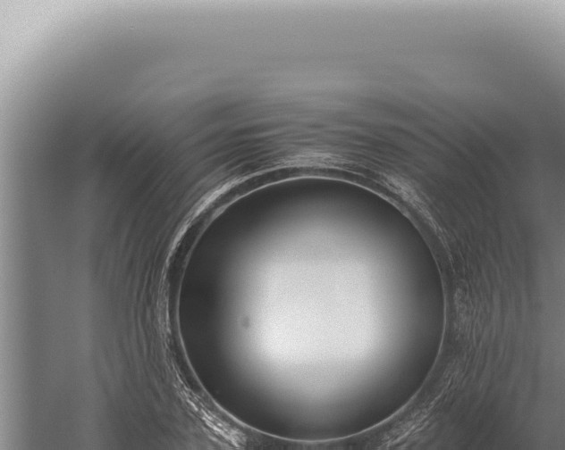 X0000059810931200510281701