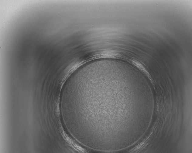 X0000059810938200510281701