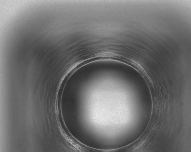 X0000059810939200510281701