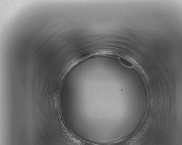 X0000059810945200510281702