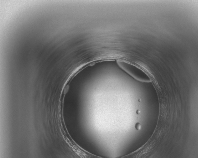 X0000059810948200510281702