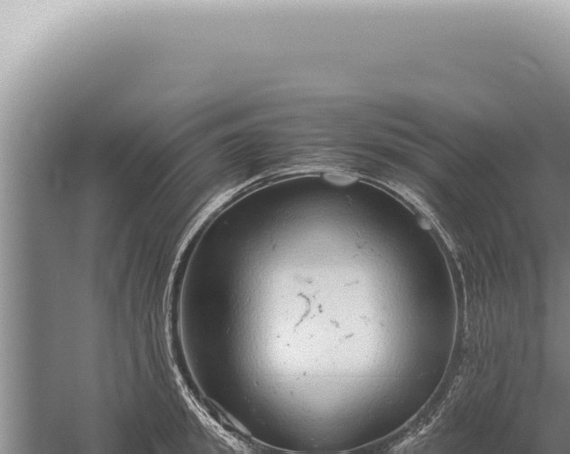 X0000059810949200510281702