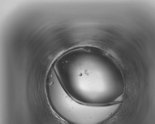 X0000059810950200510281702