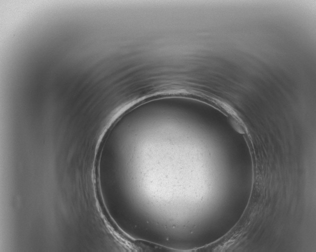 X0000059810951200510281702