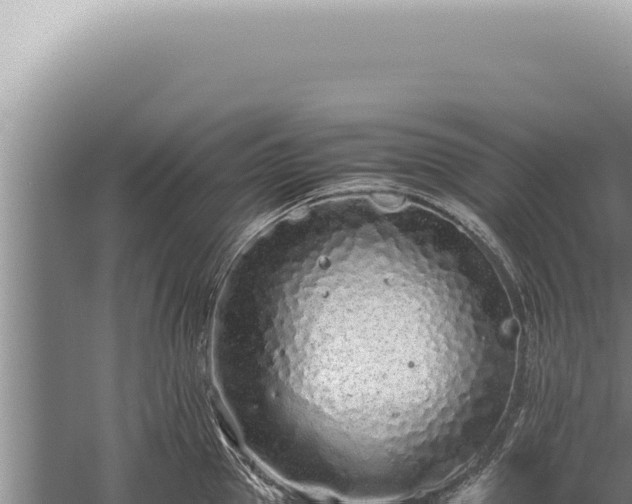 X0000059810953200510281702