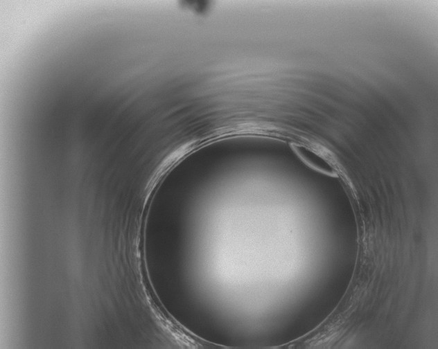 X0000059810954200510281702