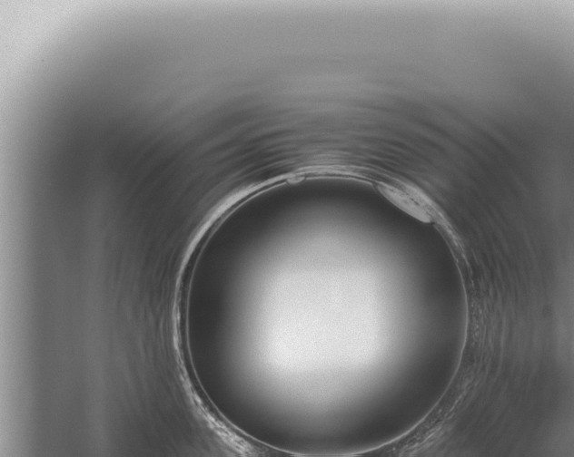 X0000059810955200510281702