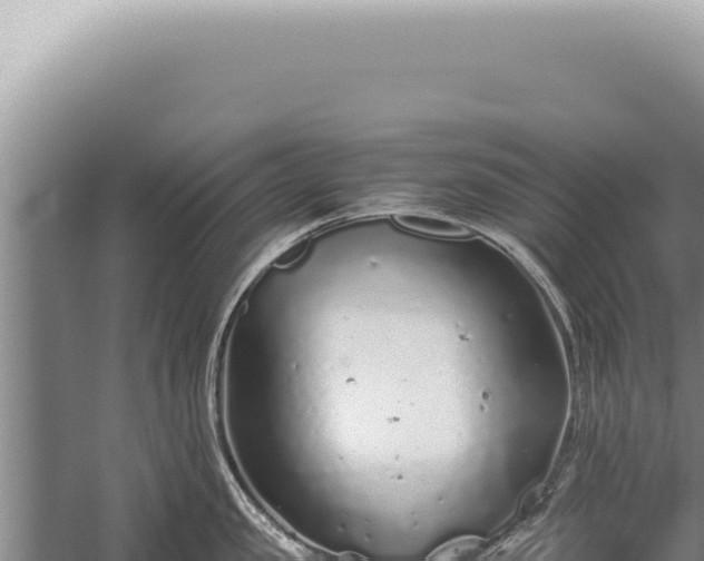 X0000059810957200510281702