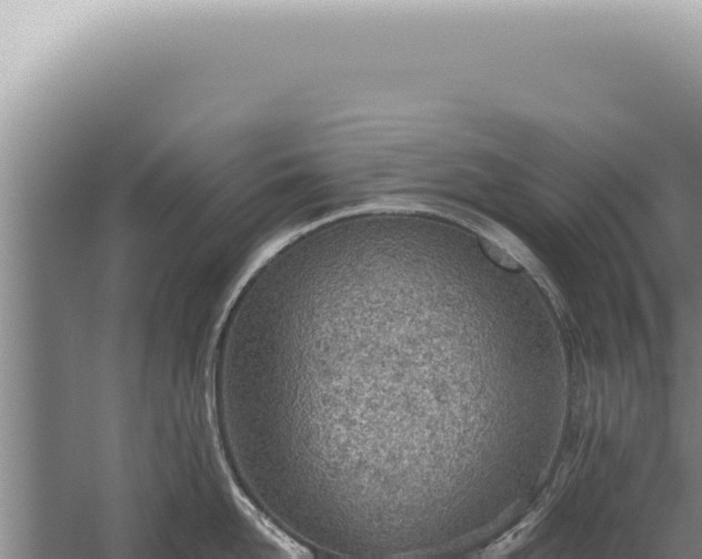 X0000059810958200510281702