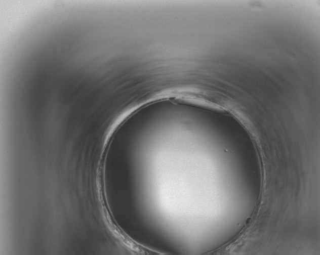 X0000059810960200510281702