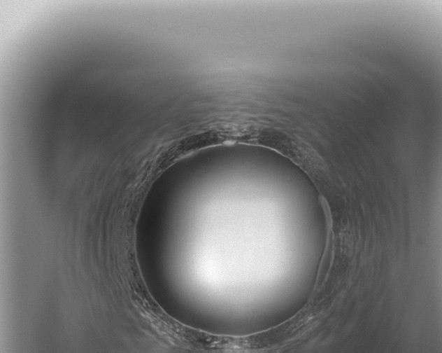 X0000059810961200510281701