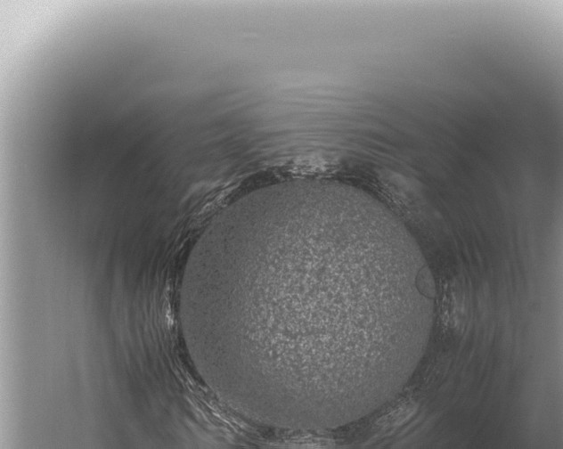 X0000059810962200510281701