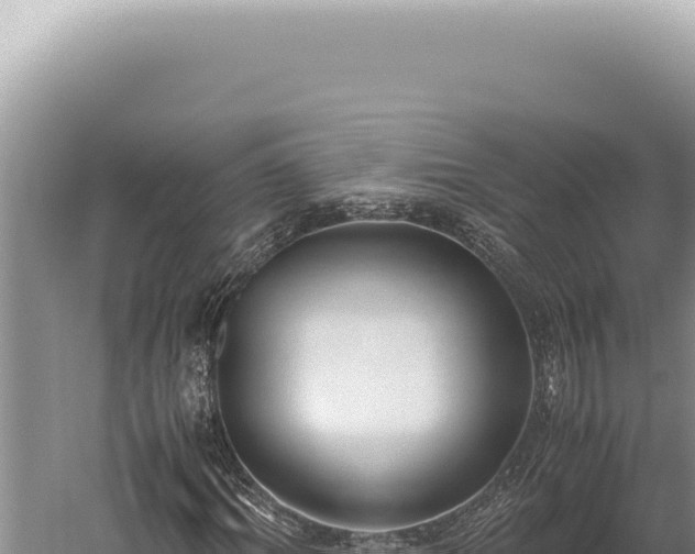 X0000059810964200510281701