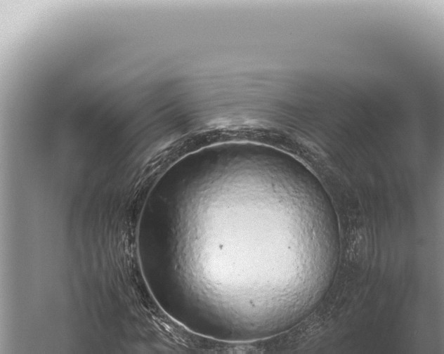 X0000059810966200510281701