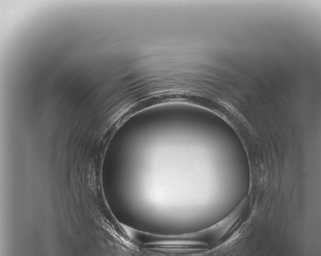 X0000059810969200510281701