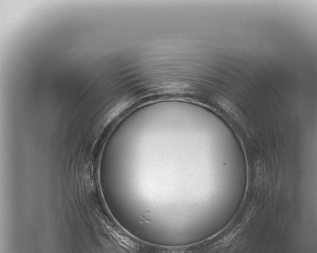 X0000059810970200510281701