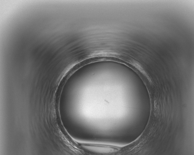 X0000059810972200510281701