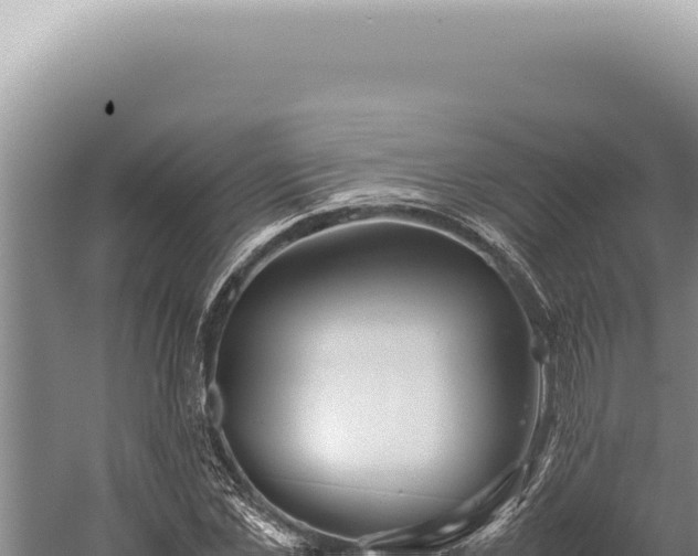 X0000059810973200510281701