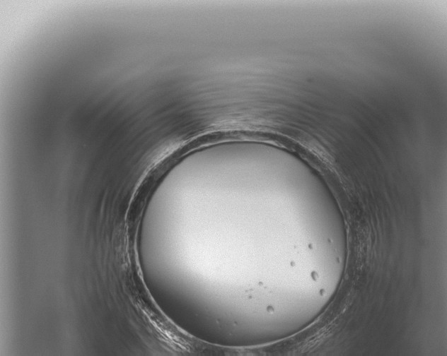 X0000059810974200510281701