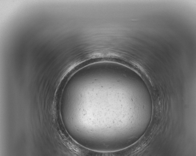 X0000059810975200510281701