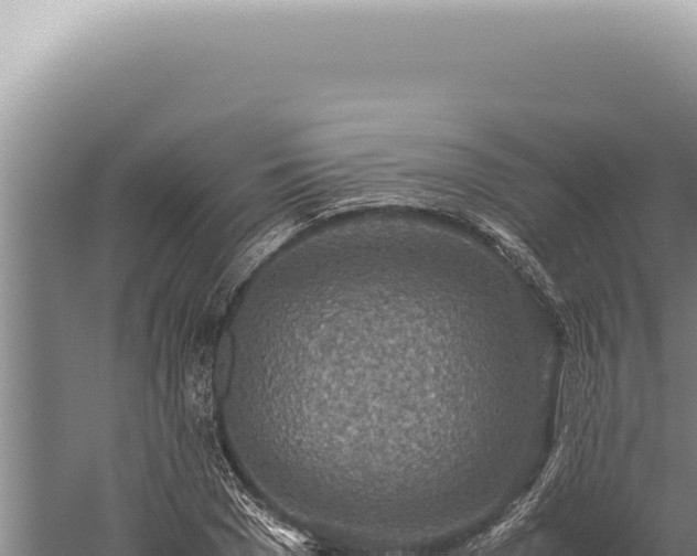 X0000059810977200510281701